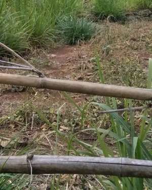 Dijual tanah seluas 5.100M, berlokasi di Bilaya Pattalasang, Gowa lokasi di Pattallassang, tersedia melalui melalui situs Olx