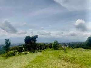 dijual tanah untuk resort-hotel-perkebunan lokasi di Cidadap, tersedia melalui melalui situs Olx