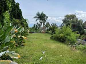 disewakan tanah di dau lokasi di Dau, tersedia melalui melalui situs Olx