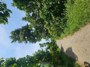 in the hill view ocean very cheap lokasi di Tejakula, tersedia melalui melalui situs Olx