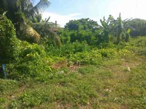 jual tanah lokasi di Banda Raya, tersedia melalui melalui situs Olx