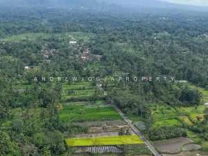 jual tanah candibinangun lokasi di Pakem, tersedia melalui melalui situs Olx