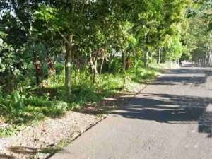 jual tanah cigugur lokasi di Kadugede, tersedia melalui melalui situs Olx