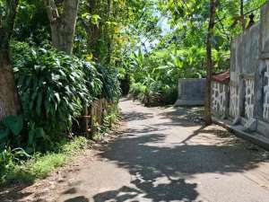 jual tanah dekat summarecon bogor lokasi di Sukaraja, tersedia melalui melalui situs Olx