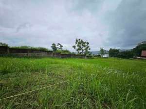 jual tanah kavling luas 150m2 dekat jl raya utama puncak lokasi di Megamendung, tersedia melalui melalui situs Olx