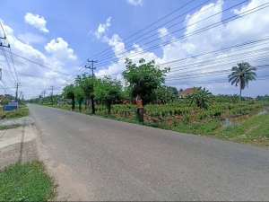 jual tanah kavling palembang lokasi di Sematang Borang, tersedia melalui melalui situs Olx