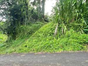 jual tanah kebun view sawah gunung lembah kota denpasar di jati luwih tabanan bali lokasi di Penebel, tersedia melalui melalui situs Olx