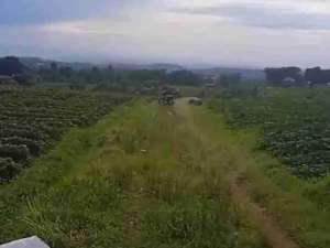 jual tanah mandirancan lokasi di Pancalang, tersedia melalui melalui situs Olx