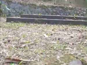 jual tanah murah lokasi di Pacet, tersedia melalui melalui situs Olx