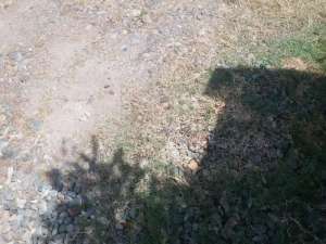 jual tanah neusu aceh lokasi di Baiturrahman, tersedia melalui melalui situs Olx