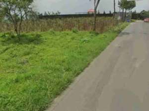 jual tanah palutungan lokasi di Cigugur, tersedia melalui melalui situs Olx