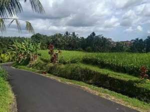 jual tanah penebel sangketan penebel tanah datar lokasi di Penebel, tersedia melalui melalui situs Olx