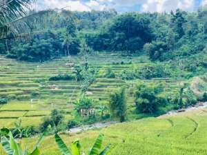 Jual Tanah Sawah Pinggir Jalan Raya Sisi Sungai Rancakalong Sumedang lokasi di Rancakalong, tersedia melalui melalui situs Olx