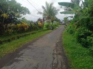 jual tanah tabanan dekat bajera selemadeg lokasi di Salemadeg Timur, tersedia melalui melalui situs Olx