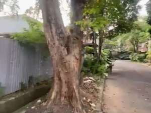 Kavling Hook di Prima Harapan Regency, Bekasi Utara, Kota Bekasi l1085qs lokasi di Bekasi Utara, tersedia melalui melalui situs Olx