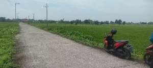 lahan industri kemlagi murah lokasi di Trawas, tersedia melalui melalui situs Olx