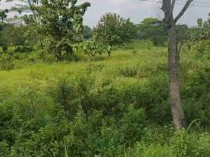 Lahan Super Strategis Pekarangan Lokasi Ngadirojo,Wonogiri Luas 2306m2 lokasi di Ngadirojo, tersedia melalui melalui situs Olx