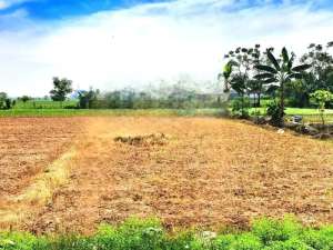 Lahan tanah luas 60x41 2478m Babelan Bekasi lokasi di Bekasi Utara, tersedia melalui melalui situs Olx