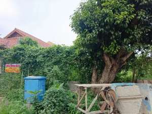 perumahan palem semi lokasi di Kelapa Dua, tersedia melalui melalui situs Olx