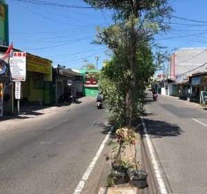 Rmh Toko Di Nol Jalan Raya Semolowaru, Hanya 200 Meter Menuju Raya Mer , tersedia melalui melalui situs Olx