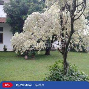 Rumah Cantik Siap Huni di Kawasan Cipete , tersedia melalui melalui situs Rumah123