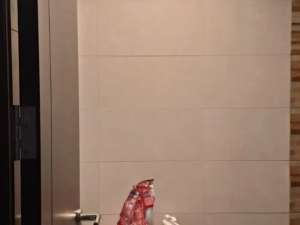 Rumah Lebar 6 Di Cluster Regia Summarecon Crown Gading , tersedia melalui melalui situs Olx