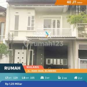 Rumah Minimalis di Jalan Ikan-Ikan Blimbing Kota Malang , tersedia melalui melalui situs Rumah123