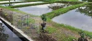 Rumah nyaman dekat alun alun pengging banyudono boyolali , tersedia melalui melalui situs Olx