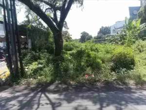 sawah kasihan bantul lokasi di Kasihan, tersedia melalui melalui situs Olx