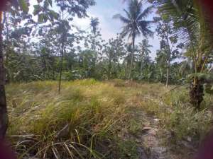 tanah 2 hektar di sidomulyo lampung selatan lokasi di Sidomulyo, tersedia melalui melalui situs Olx