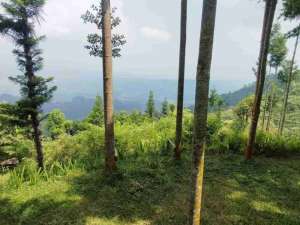 tanah dan vila lokasi di Megamendung, tersedia melalui melalui situs Olx