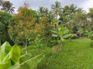 tanah dan vilaa murah dijual cepat d lokasi di Cisaat, tersedia melalui melalui situs Olx