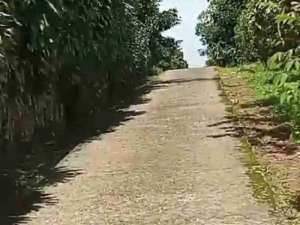 tanah darat kebun lokasi di Wanayasa, tersedia melalui melalui situs Olx