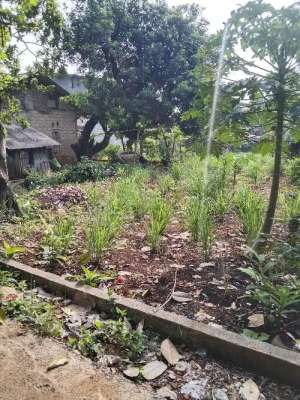 tanah datar akses mobil 30m dr jl.ry cibeuteung udik lokasi di Ciseeng, tersedia melalui melalui situs Olx