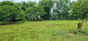 tanah datar buat perumahan subsidi nempel stasiun lokasi di Walantaka, tersedia melalui melalui situs Olx