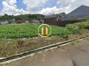 Tanah Datar Cocok untuk clusterPerumahan atau Villa Di Lembang Bandung lokasi di Lembang, tersedia melalui melalui situs Olx