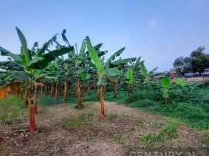 Tanah Datar Murah Strategis Jl.WR.Supratman Ciputat Tangsel. lokasi di Ciputat, tersedia melalui melalui situs Olx