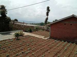 tanah datar pinggir jalan view bagus lokasi di Cisarua, tersedia melalui melalui situs Olx