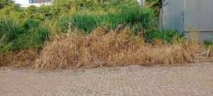 tanah di tangsel lokasi di Bumi Serpong Damai, tersedia melalui melalui situs Olx