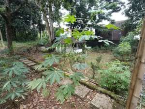 tanah kavling ciumbuleuit bandung kota lokasi di Cidadap, tersedia melalui melalui situs Olx