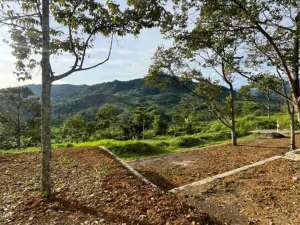 tanah kavling murah view indah suasana berkabut cocok untuk vila lokasi di Cibinong, tersedia melalui melalui situs Olx