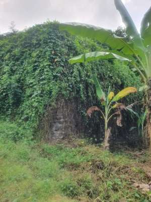 tanah kavling premium view laut di gunaksa dawan klungkung lokasi di Dawan, tersedia melalui melalui situs Olx