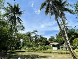 TanahKolam Ikan Pinggir Jalan di Pasawahan Purwakarta Dijual Murah lokasi di Pasawahan, tersedia melalui melalui situs Olx