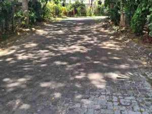 tanah kontrak di tengah tengah villa kerobokan lokasi di Kuta Utara, tersedia melalui melalui situs Olx