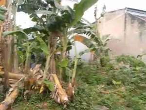 tanah kosong lokasi di Setu, tersedia melalui melalui situs Olx