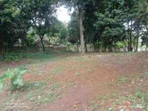 tanah kosong lokasi di Parung, tersedia melalui melalui situs Olx