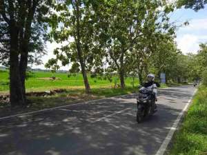 tanah lahan industri sambung macan sragen 10ha lokasi di Sambung Macan, tersedia melalui melalui situs Olx