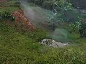 tanah murah lokasi di Megamendung, tersedia melalui melalui situs Olx