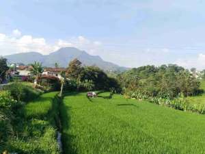 tanah murah dan luas cocok untuk cluster ujung berung kota bandung lokasi di Cicalengka, tersedia melalui melalui situs Olx