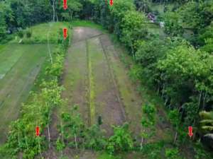 Tanah Nempel Sumber Mata Air lokasi di Ponjong, tersedia melalui melalui situs Olx